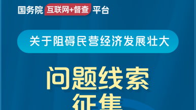 男生操女生操视频网站免费国务院“互联网+督查”平台公开征集阻碍民营经济发展壮大问题线索